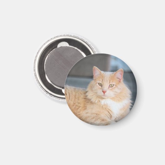 Ruffles Magnet (Vorderseite/Rückseite)