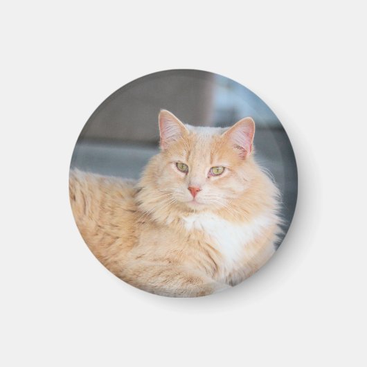 Ruffles Magnet (Vorne)