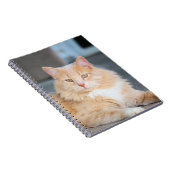 Ruffles Notizblock (Rechte Seite)