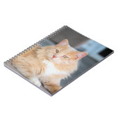 Ruffles Notizblock (Linke Seite)