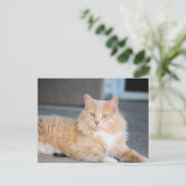 Ruffles Postkarte (Stehend Vorderseite)