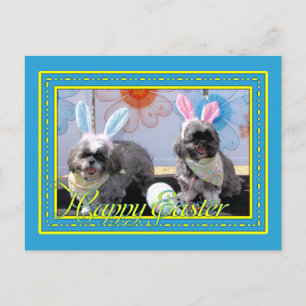 Ruffles_Riley_Shih_Tzu_Miller-2 Postkarte