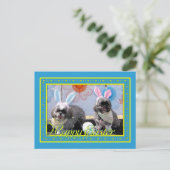 Ruffles_Riley_Shih_Tzu_Miller-2 Postkarte (Stehend Vorderseite)