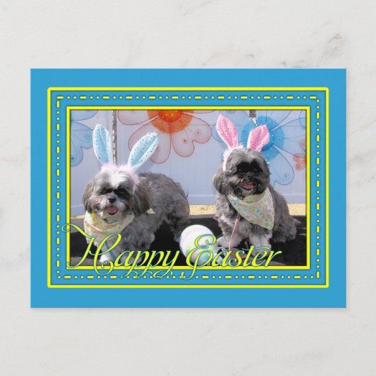 Ruffles_Riley_Shih_Tzu_Miller-2 Postkarte (Vorderseite)