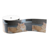 Ruffles Ripsband (Spule)