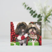 Ruffles und Riley - Shih Tzu - Miller Postkarte (Stehend Vorderseite)