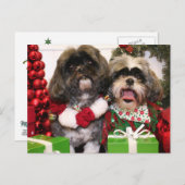 Ruffles und Riley - Shih Tzu - Miller Postkarte (Vorne/Hinten)
