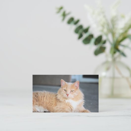 Ruffles Visitenkarte (Stehend Vorderseite)