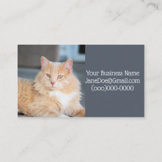 Ruffles Visitenkarte