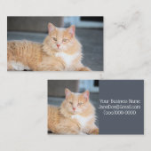 Ruffles Visitenkarte (Vorne/Hinten)