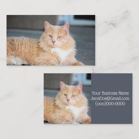 Ruffles Visitenkarte (Vorne/Hinten)