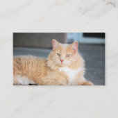 Ruffles Visitenkarte (Vorderseite)