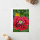 Ruffly Red Poppy Mitteilungskarte (Vorderseite/Rückseite Beispiel)