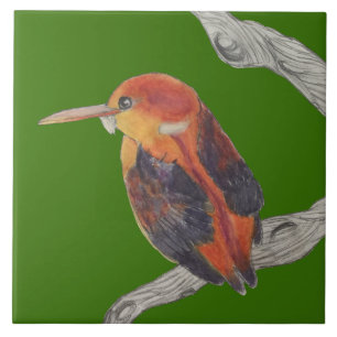 Rufous Backed Kingfisher auf einer Keramik Fliese