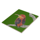 Rufous Backed Kingfisher auf einer Keramik Fliese (Seite)