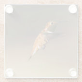 Rufous Hummingbird auf dem Flug Glasuntersetzer (Rückseite)