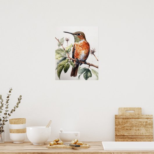 Rufous Hummingbird Bird Art Print Poster (Küche)