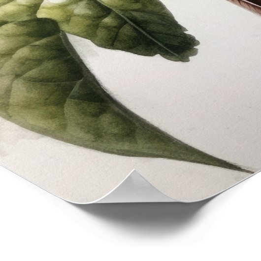 Rufous Hummingbird Bird Art Print Poster (Ecke)