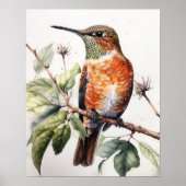 Rufous Hummingbird Bird Art Print Poster (Vorne)