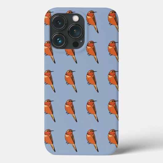 Rufous Hummingbird Case-Mate iPhone Hülle (Rückseite)