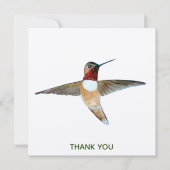 Rufous Hummingbird Dankeskarte (Vorderseite)