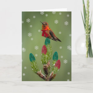 Rufous Hummingbird Feiertagskarte