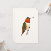 Rufous Hummingbird Flat Grußkarte Karte (Vorderseite/Rückseite Beispiel)