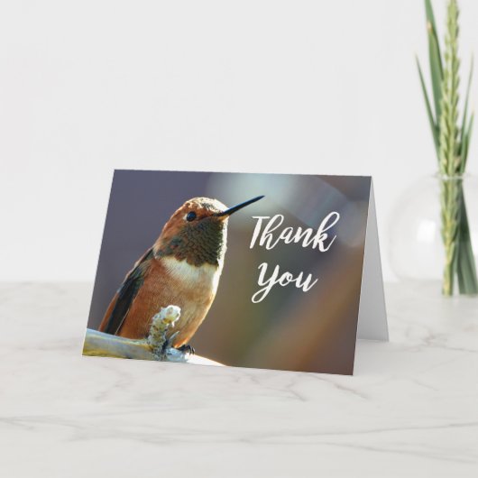 Rufous Hummingbird Foto Dankeschön Karte (Vorderseite)