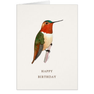 Rufous Hummingbird Geburtstagskarte