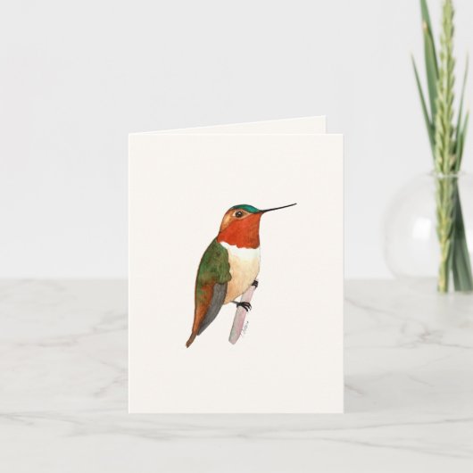 Rufous Hummingbird Grußkarte Karte (Vorderseite)