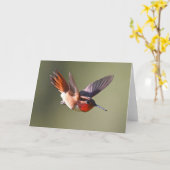 Rufous Hummingbird im Flug Karte (Gelbe Blume)