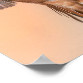 Rufous Hummingbird in einer Atemberaubenden Pose Poster (Ecke)