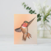 Rufous Hummingbird in einer Atemberaubenden Pose Postkarte (Stehend Vorderseite)