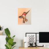 Rufous Hummingbird in einer schönen Pose Poster (Heimbüro)