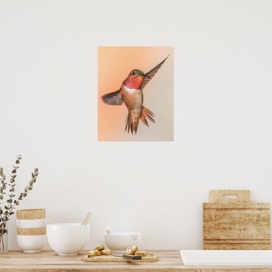 Rufous Hummingbird in einer schönen Pose Poster (Küche)