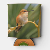Rufous Hummingbird in Erholung Dosenkühler (Vorderseite)