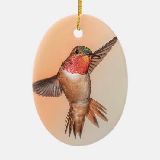 Rufous Hummingbird in Flug Monogram Name Keramik Ornament (Vorne)