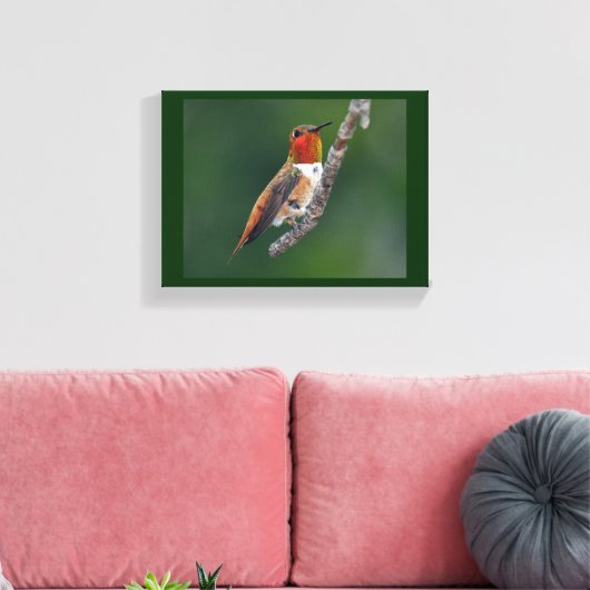 Rufous Hummingbird Leinwanddruck (Insitu (Wohnzimmer))