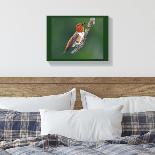 Rufous Hummingbird Leinwanddruck (Insitu (Schlafzimmer))