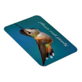 Rufous Hummingbird Magnet (Rechte Seite)