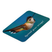 Rufous Hummingbird Magnet (Linke Seite)