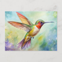 Rufous Hummingbird-Malerei