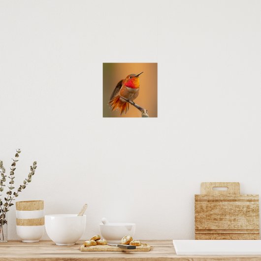 Rufous Hummingbird mit Ruffled Feathers Poster (Küche)