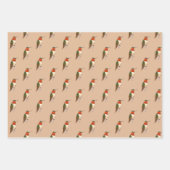 Rufous Hummingbird Pattern Geschenkpapier Set (Vorderseite 3)