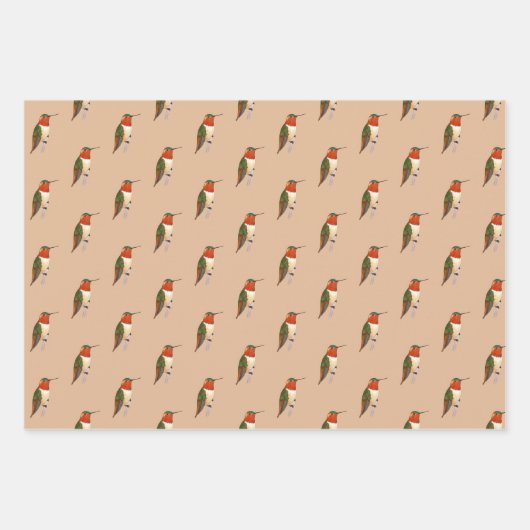 Rufous Hummingbird Pattern Geschenkpapier Set (Vorderseite 3)