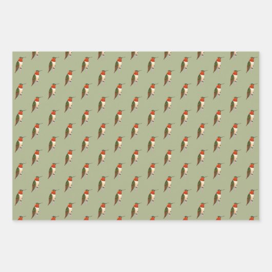 Rufous Hummingbird Pattern Geschenkpapier Set (Vorderseite 2)
