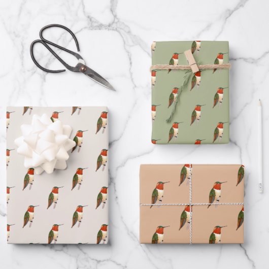 Rufous Hummingbird Pattern Geschenkpapier Set (Vorderseite)