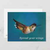 Rufous Hummingbird Postkarte (Vorne/Hinten)