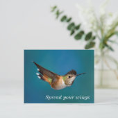 Rufous Hummingbird Postkarte (Stehend Vorderseite)