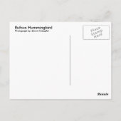 Rufous Hummingbird - Postkarte (Rückseite)